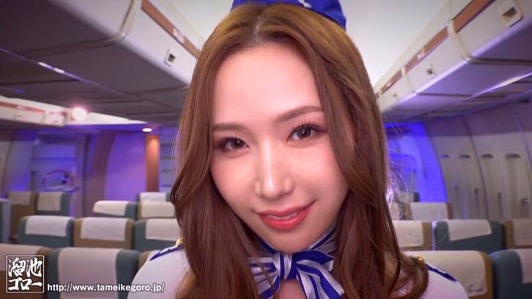 シーン1:機内でのパイジャック 0